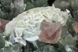 Hedenbergite Quartz With Pink Fluorite Octahedrals - Mongolia #173037-4